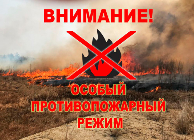 ИНФОРМАЦИЯ. ИНФОРМАЦИЯ.